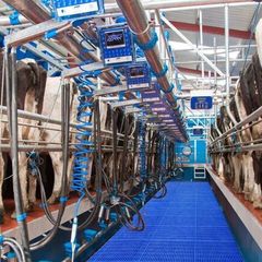 Relief Milker Available