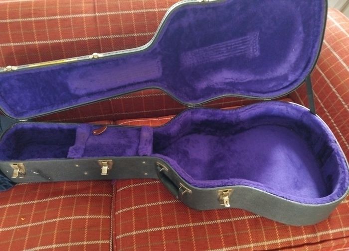 gibson guitar case