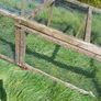Hen / animal run Image 4