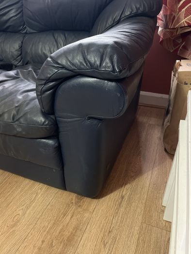 free to take genuine leather couch