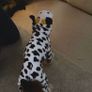 Dog Cow Halloween Costume Image 2