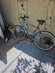 Apollo Transfer Mountain Bike
