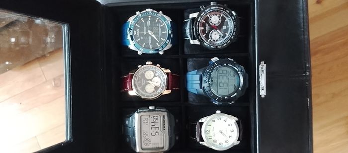 6 watches+ case
