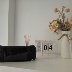 Xbox Ally X - Perfect Condition