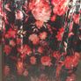ladies dress Image 5