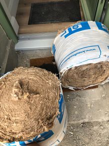 FREE insulation