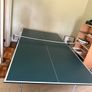 Butterfly Ping Pong Table Image 3
