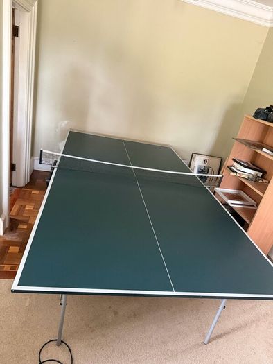 Butterfly Ping Pong Table
