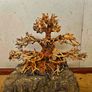 Bonsai Tree Medium Image 3