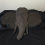 Elephant Wall Hanging Image 6
