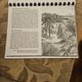 29 ink drawings of various tree species by artist S. R. Badmin. It's in binder form with 29 description of each of the  trees. See photos for same. Image 4