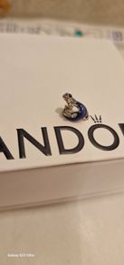 Pandora charm