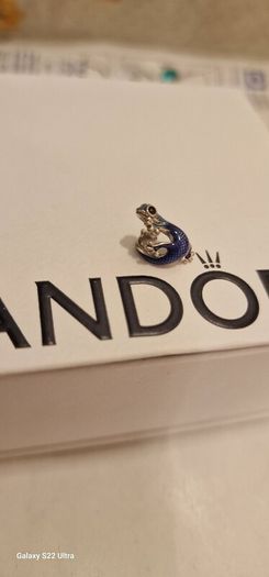 Pandora charm