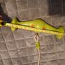 Tree swing Image 2