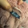 Harmont & Blaine furry coat girl 12-24m Image 8