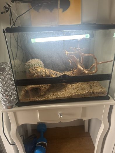 Reptile tank