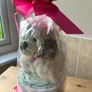 Baby Gift Image 3