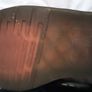 Dr. Martens Shoes Image 7
