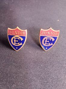 Junior / CE / Christian Endeavour Pin Badge  x 2