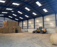 Hay Straw Beet