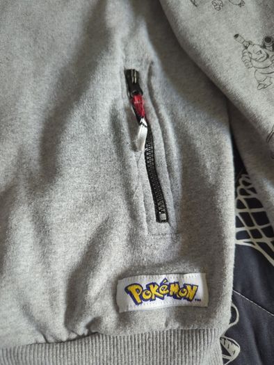 Pokemon print Hoodie from Next