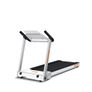 EasyStore Treadmill 1.75HP Motor- WiFi, Touchscreen, Media Player (Netflix, YouTube etc.), Download Any App. Image 4