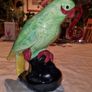 Vintage parrot - Westminster Hanley, Staffs Image 3