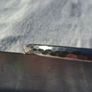 Sterling Silver Bangle Image 3