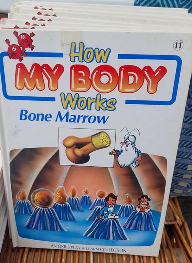 How My Body Works