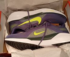 Nike Pegasus 41