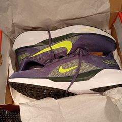 Nike Pegasus 41
