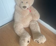 Billy the Bear