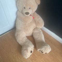 Billy the Bear