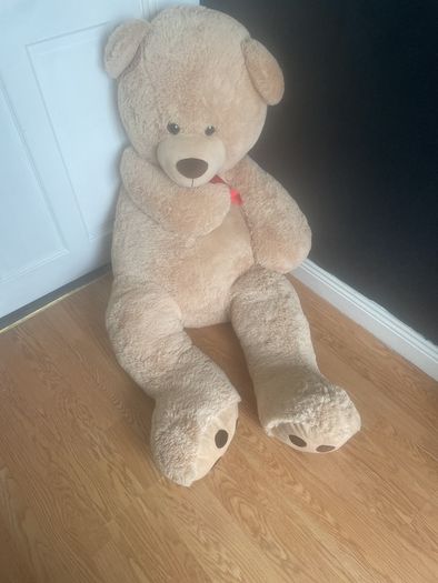 Billy the Bear