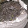 Gravel and sand infill Image 4