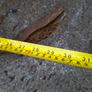 Very Large Heavy 19th Century Wrought Iron Anchor Image 7