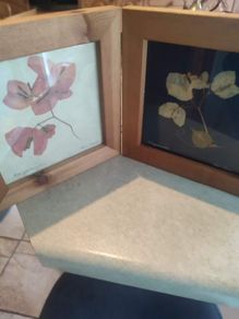 Set 2 Vintage Authentic Botanical Press Flowers Framed Wall Folk Art