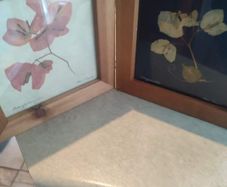 Set 2 Vintage Authentic Botanical Press Flowers Framed Wall Folk Art