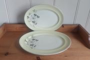 Lovely Vintage Set of Two Matching Graduated Platters by Johnson Bros in a Fabulous Floral and Foliage Pattern on a Lemon Yellow Banding, Priced as a Pair