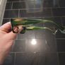 GIGI Studios Natalie Sunglasses  Brand New  Price 150 Image 4