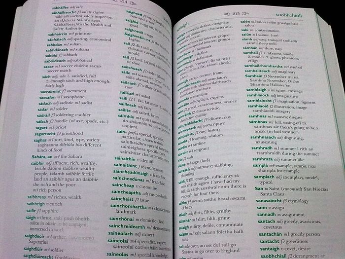 Focloir Irish - English and English - Irish dictionary Ireland Gaeilge