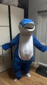 Dolphin costume