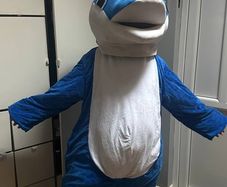 Dolphin costume