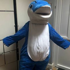 Dolphin costume