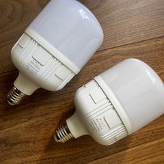 30W warm white lamp x2