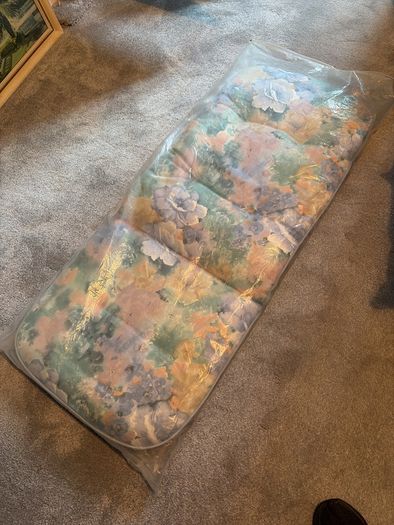 2 Garden Cushions Free , Dublin 4  Collection
