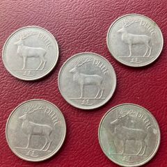 Irish punt coin x 5