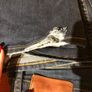 hilfiger jeans Image 4