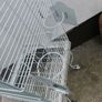 bird cage Image 5