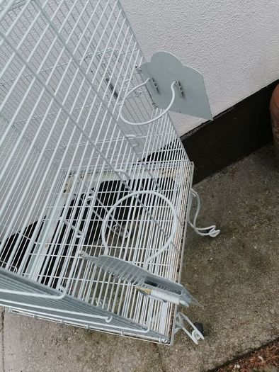 bird cage